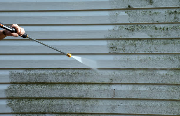Best Deck Cleaning Services  in Eustace, TX